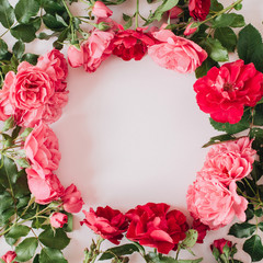 Frame border made of pink and red rose flowers and leaves. Flat lay, top view copy space mockup background.