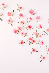 Floral composition with pink rose flower buds and leaves pattern on white background. Flatlay, top...