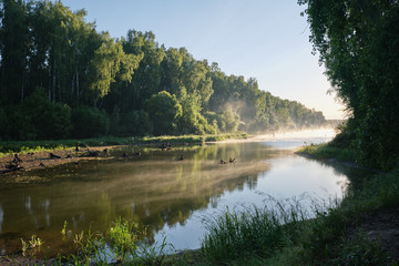 fog over water on a background of a tree with green leaves and a blue sky without clouds at dawn.