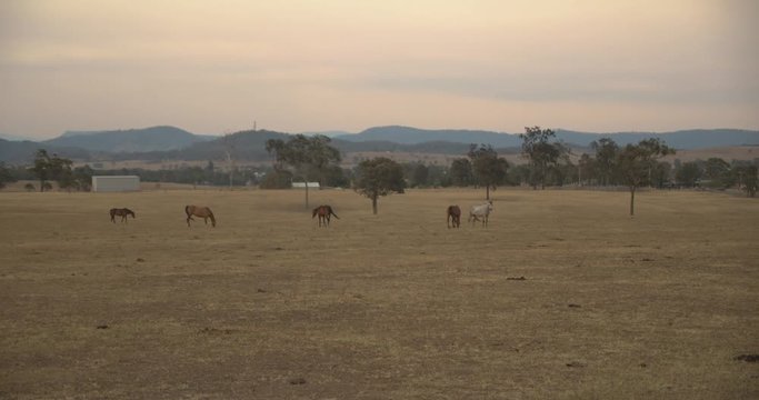 Cessnock Images – Browse 342 Stock Photos, Vectors, and Video | Adobe Stock