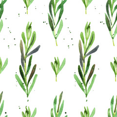 Fototapeta na wymiar Rosemary herb seamless pattern. Floral watercolor wrapping for wallpaper design