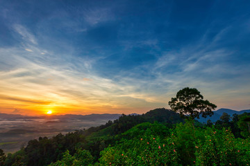 Morning scenery of mist-covered forests and the sun rising over the mountains.