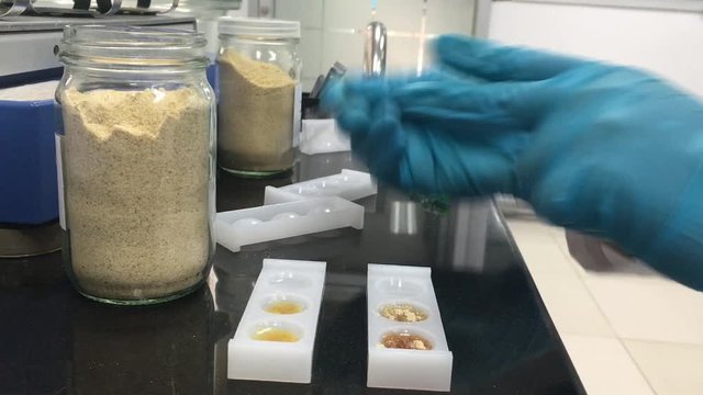 operator hand in rubber groves is digging sample powder and pouring into plastic hole to test color changing when sample dissolve in solvent