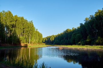 fog over water on a background of a tree with green leaves and a blue sky without clouds at dawn.