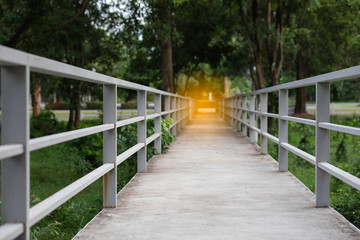 Old steel Bridge in green park in Thailand