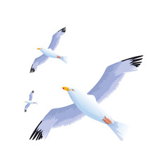 gulls flying icon, colorful design