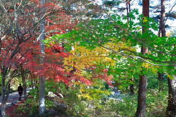 아름다운 가을 단풍