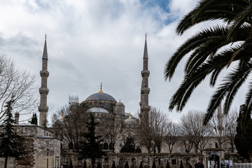 Fototapeta na wymiar moschea blu instanbul