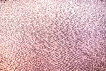 salty pink water