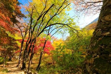 아름다운 가을 단풍