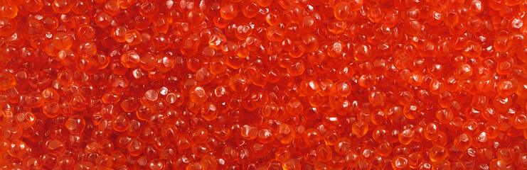Red caviar. Background. Texture. Panorama.
