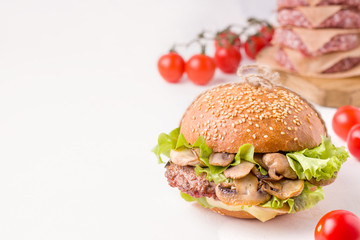 sandwich with meat and mushrooms next to the ingredients on a white background. Close-up. have copy space