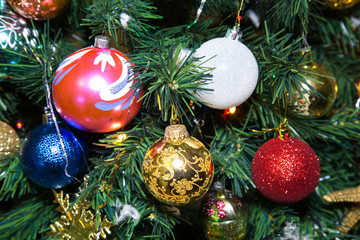 Christmas toys yellow red blue hanging on a green Christmas tree. Holiday, Christmas, New year, toys.