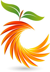 cut fruit logo