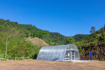 Fototapeta na wymiar vegetables in green season with sunlight, sky and green mountain in Thailand.
