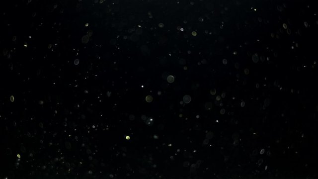 particles on black background, abstract overlay with particles and bokeh