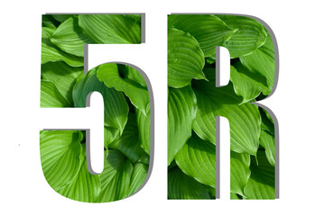 Inscription 5R made from green leaves. Concept of environmental friendly living.