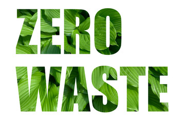 zero waste text with green leaves on white background