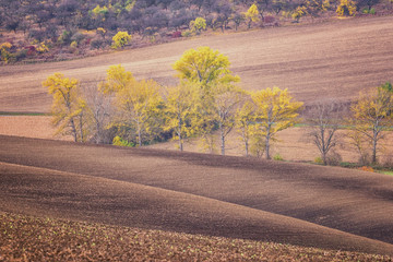 Fototapeta na wymiar Rural landscape with agricultural fields and autumn trees, natural outdoor background