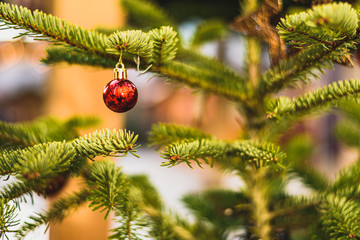 Ausschnitt eines Weihnachtsbaum mit rotem Kugel Schmuck