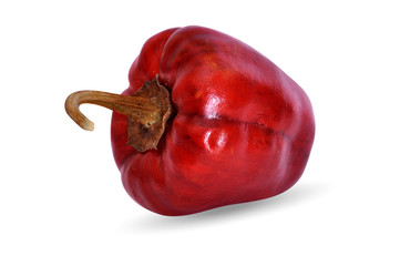 hot red dry round chili pepper