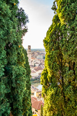 Fototapeta na wymiar Top view of the city of Verona,