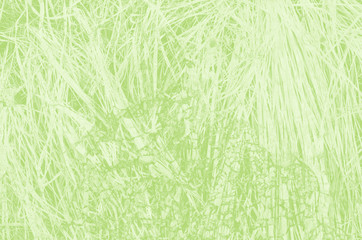 abstract light green background with copy space for design