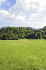 Fototapeta na wymiar Wiese, Immobilien, Slowenien, Nationalpark Triglav, Jereka