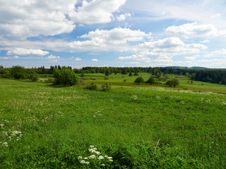 NSG „Schwarzes Moor", Biosphärenreservat Rhön, Unterfranken, Franken, Bayern, Deutschland