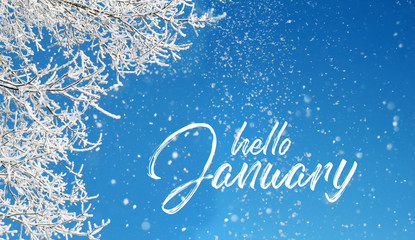 hello January. snowy sky. falling snow on blue background. winter season concept. 