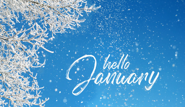 hello January. snowy sky. falling snow on blue background. winter season concept.  - Powered by Adobe