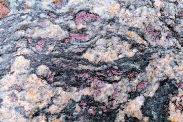 Sea stone texture. Panel texture. Spots gray red background. Background fill. Natural stone background.