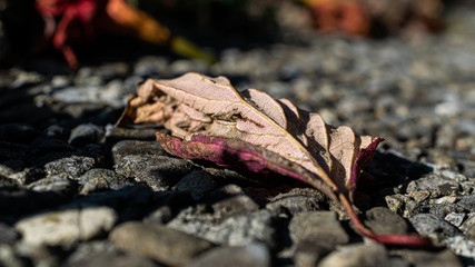 Der Herbst kündigt sich an