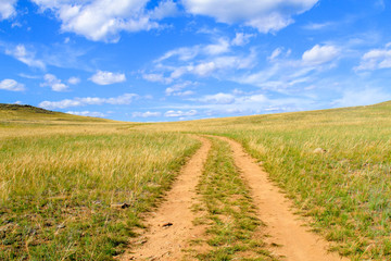 Fototapeta na wymiar desert road in yellow grass and clouds