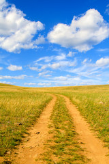 Fototapeta na wymiar desert road in yellow grass and clouds