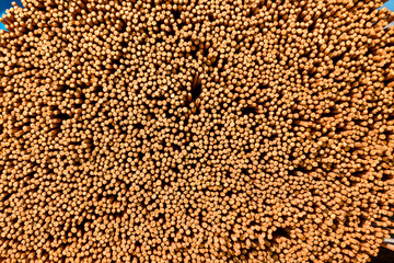 Burn incense. Sandalwood.