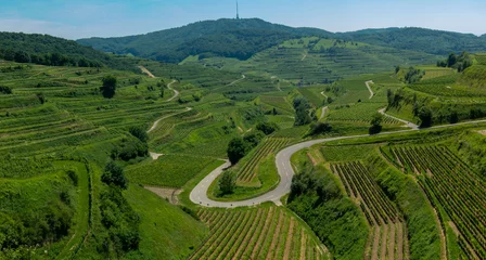 Fotobehang Road in Germany called Texas Pass through vineyards © zabanski