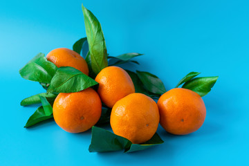 Orange juicy ripe tangerines with green leaves on a blue background.