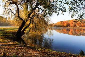 colorful autumn at the lake with reflections