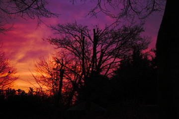 Morgens um halb acht vor meiner Haustier ein wunderschönes Morgenrot.