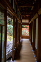 紅葉　イメージ