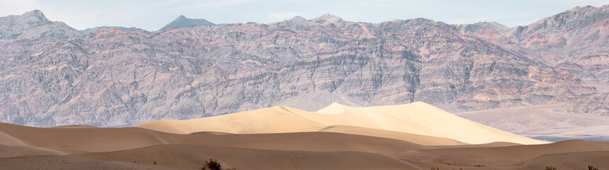Fototapeta na wymiar Mesquite flat sand dune
