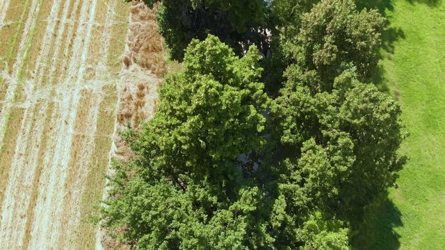 Drone view of the beautiful old fashioned  wedding carriage traveling on the country road