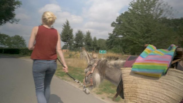Young blonde girl walking a donkey. View from behind