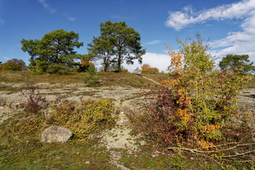 Fototapeta na wymiar Naturschutzgebiet Ruine Homburg,Unterfranken, Franken, Bayern, Deutschland