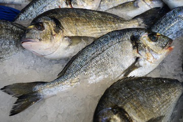 View of fresh dorade royale (bream) fish at a French seafood market