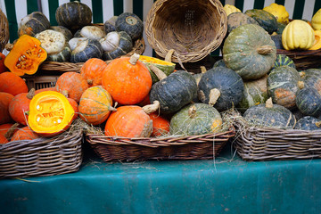 Colorful orange and green pumpkins and gourds in the fall