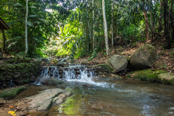 Naklejka na ściany i meble Kathu Waterfall in the tropical forest area In Asia, suitable for walks, nature walks and hiking, adventure photography Of the national park Phuket Thailand,Suitable for travel and leisure.