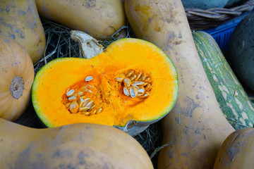 Colorful orange and green pumpkins and gourds in the fall