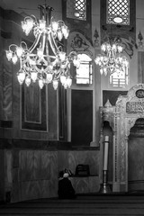 interno moschea istanbul